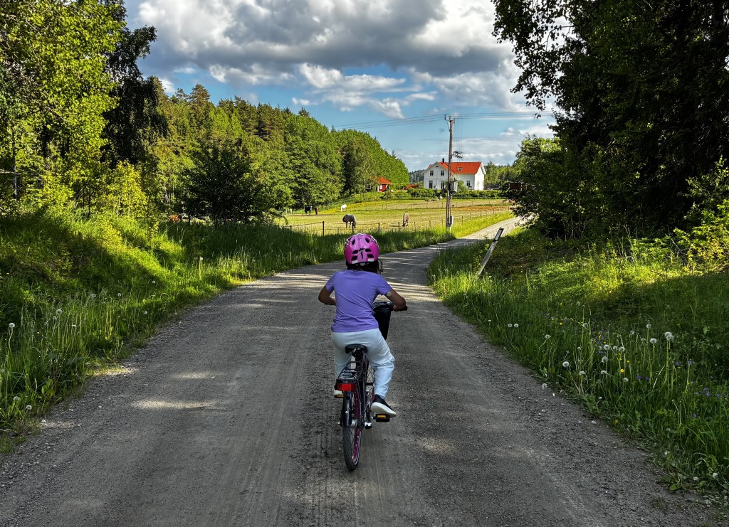 Sommaren – det ultimata&nbsp;testet